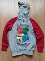 Harry Potter trui maat 122/128 nette staat, Kinderen en Baby's, Jongen of Meisje, Trui of Vest, Ophalen of Verzenden, Zo goed als nieuw