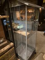 Vogel volière met vogelvoer en assessoren, Dieren en Toebehoren, Vogels | Hokken en Kooien, Ophalen, Volière