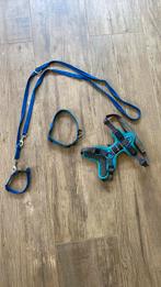 Puppy / honden set te koop, Ophalen of Verzenden, Zo goed als nieuw