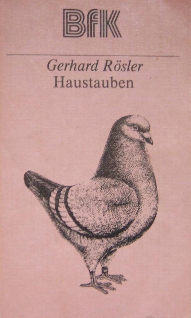 Duivenboeken, Dieren en Toebehoren, Vogels | Duiven, Meerdere dieren
