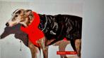 Jas voor Galgo of Podenco, Dieren en Toebehoren, Ophalen of Verzenden, Hondenjas