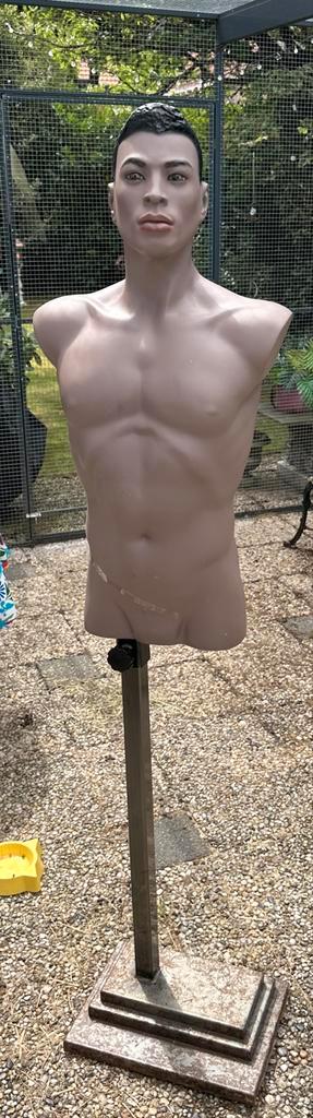 George is te koop! beschikbaar voor biedingen