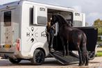 Paardenwagen + chauffeur, Februari, Meerdere dieren