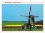 (NH456) Ansichtkaart Texel Oosterend molen Het Noorden 2005, Verzenden, 1980 tot heden, Gelopen, Noord-Holland