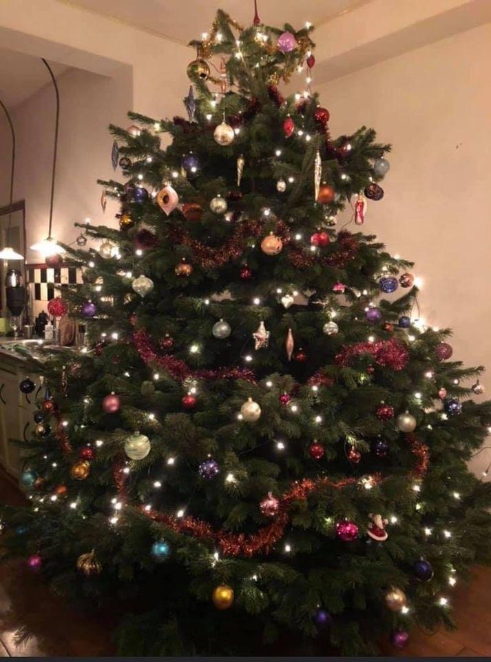 Nordmann kerstbomen, Diversen, Kerst, Ophalen