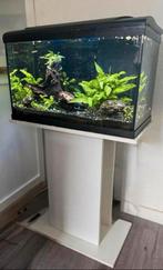Te koop aquarium van 60 lieter met bijpassend meubel, Dieren en Toebehoren, Vissen | Aquaria en Toebehoren, Ophalen, Zo goed als nieuw