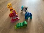 Duplo mijn eerste dieren, Ophalen of Verzenden, Gebruikt