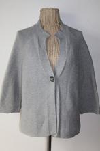 Repeat Mooi grijs vest - Maat 44/XXL, Kleding | Dames, Repeat, Repeat.nl, Ophalen of Verzenden, Zo goed als nieuw