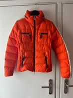 Ski jas Bogner maat 36 S, Ophalen of Verzenden, Zo goed als nieuw, Maat 36 (S), Jack
