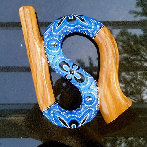 Snake Travel Didgeridoo | Compact Handgeschilderd I LIDAH, Muziek en Instrumenten, Percussie, Nieuw, Ophalen of Verzenden
