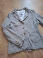 Dressuur jasje rijjasje springen maat 36/38, Ophalen of Verzenden, Zo goed als nieuw, Dressuur