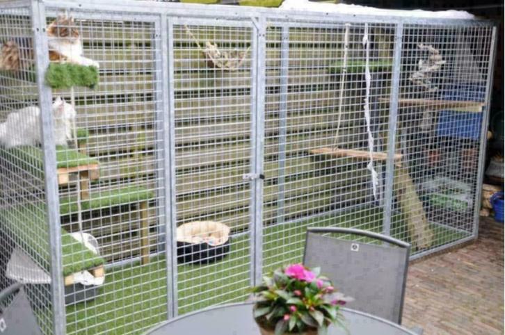 bb6f7, Dieren en Toebehoren, Katten-accessoires, Ophalen of Verzenden