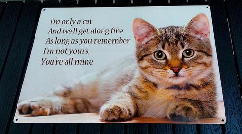 Metalen Bord / Tekstbord met Poes / Kat & Tekst - 30x40CM, Huis en Inrichting, Woonaccessoires | Wanddecoraties, Zo goed als nieuw