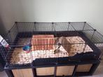 c&c Modulaire kooi 145x75 / draadkubus cavia konijn kooi, Dieren en Toebehoren, Ophalen of Verzenden, 110 cm of meer