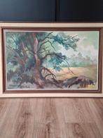 Op doek geschilderd oude boom., Antiek en Kunst, Kunst | Schilderijen | Klassiek, Ophalen of Verzenden