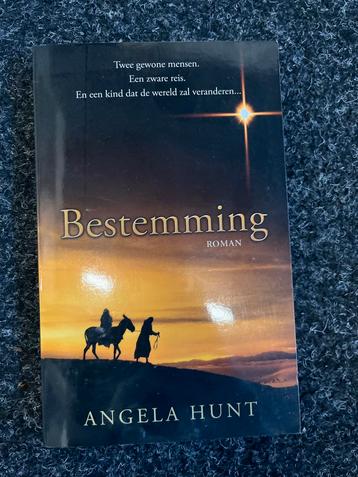 Bestemming - Angela Hunt | Roman beschikbaar voor biedingen