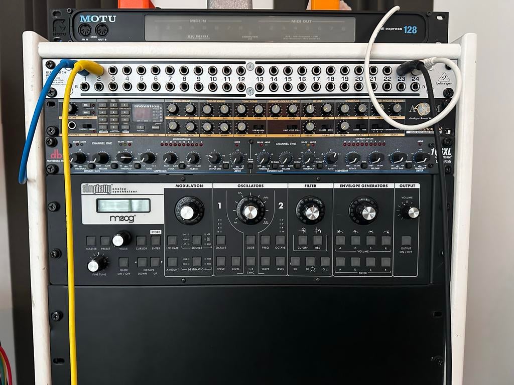 Moog Slim Phatty Analoge Synthesizer, Muziek en Instrumenten, Synthesizers, Overige merken, Gebruikt, Met midi-aansluiting, Overige aantallen