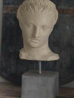 Aphrodite/Venus Borstbeeld, Ophalen