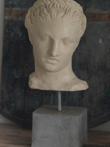 Aphrodite/Venus Borstbeeld beschikbaar voor biedingen