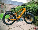 ENGWE E26 e-bike – Zeer nette staat – 2000 km – Nu €975, Zo goed als nieuw, 51 tot 55 cm, 50 km per accu of meer, Ophalen