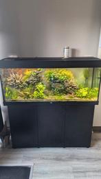 Juwel 240 rio, Dieren en Toebehoren, Ophalen of Verzenden, Zo goed als nieuw, Gevuld zoetwateraquarium