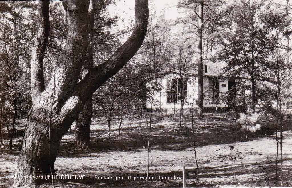 04051 Beekbergen - Vakantieverblijf Heideheuvel - 1964, Verzamelen, Ansichtkaarten | Nederland, Ongelopen, Gelderland, 1960 tot 1980
