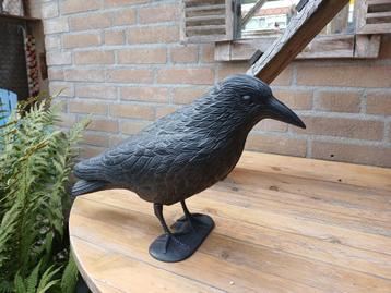 vogel verschrikker kraai tuin beschikbaar voor biedingen