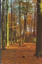 America Het meerdal Gelopen ansichtkaart ( 8389 ), Ophalen of Verzenden, Gelopen, Limburg