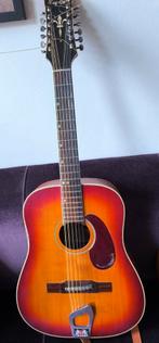 Hagstrom BJ-12, 1974, Muziek en Instrumenten, Ophalen, Gebruikt, Western- of Steelstringgitaar, 12-snarig