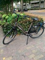 Prachtige Gazelle Chamonix damesfiets framemaat 57, Ophalen, Versnellingen, 56 cm of meer, Zo goed als nieuw