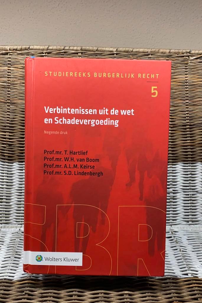 T. Hartlief - Verbintenissen uit de wet en Schadevergoeding, Boeken, Wetenschap, Zo goed als nieuw, Sociale wetenschap, Ophalen of Verzenden