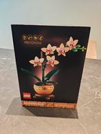 LEGO Botanicals Mini Orchidee 10343 - Nieuw!, Ophalen of Verzenden, Nieuw, Complete set, Lego