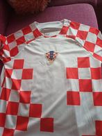 Voetbalshirt, Ophalen of Verzenden, Zo goed als nieuw, Shirt
