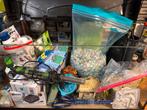 60 liter aquarium, van Tetra, Dieren en Toebehoren, Vissen | Aquaria en Toebehoren, Ophalen, Gebruikt, Leeg aquarium