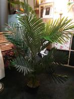 Grote kunstplant te koop, Tuin en Terras, Ophalen of Verzenden, Volle zon, Overige soorten