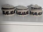 Arabia Finlandia Ruija Compleet vintage servies (70+ items), Ophalen