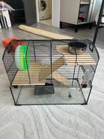 Hamsterkooi met glas en extra accessoires, Dieren en Toebehoren, Ophalen of Verzenden, Minder dan 75 cm, Kooi, Minder dan 60 cm
