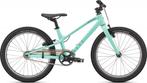 Specialized Jett 20 Single Speed Int Oasis/forest Green 20 2, Fietsen en Brommers, Fietsen | Kinderfietsjes, Nieuw