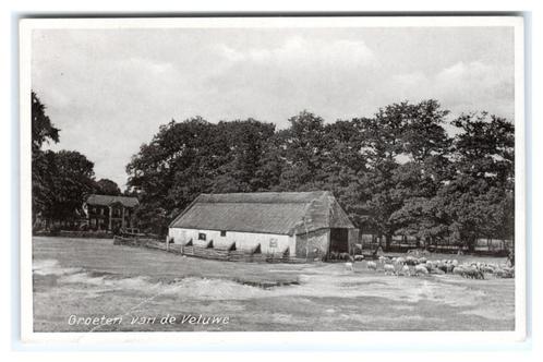 Veluwe, Groeten van de Veluwe. Lees beschrijving, Verzamelen, Ansichtkaarten | Nederland, Ongelopen, Gelderland, 1940 tot 1960