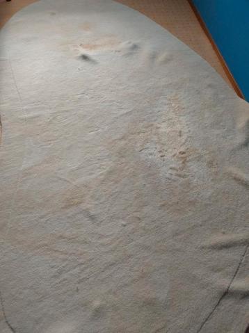 Merinowol Tapijt - Zo Goed Als Nieuw! beschikbaar voor biedingen