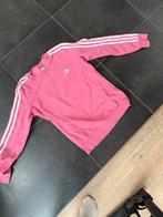 Adidas trui roze maat 36/38, Ophalen of Verzenden, Zo goed als nieuw, Maat 36 (S), Roze