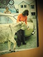 AK 73 40  Rover 2200 Renault 16TX Datsun 240Z, Ophalen of Verzenden, Gelezen, Overige merken