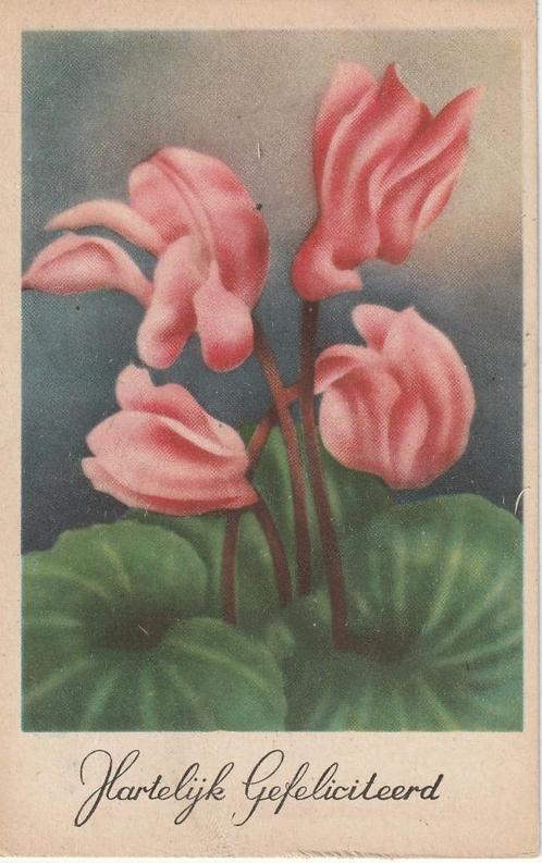 BLOEM BLOEMEN UIT 1947 ZEER MOOIE KAART KG984, Verzamelen, Ansichtkaarten | Themakaarten, Gelopen, 1940 tot 1960, Overige thema's
