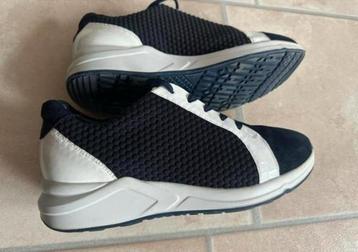 Hassia lage sneakers  maat 6 H beschikbaar voor biedingen