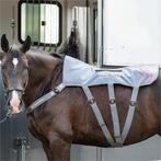 Equilibrium Massage Pad Heatsense Te Huur, Ophalen