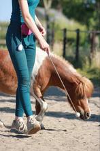 Gezocht: grond waar vertrouwen kan groeien mens, paard, Dieren en Toebehoren, Stalling en Weidegang, On bekend, Inbekend, Onbekend