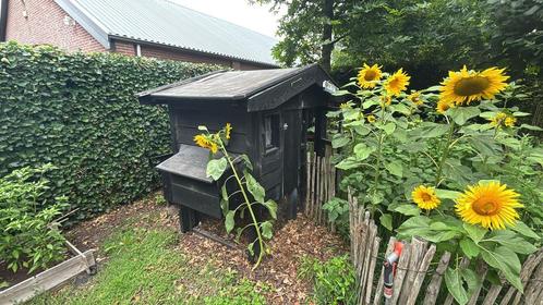 Kippenhok, Dieren en Toebehoren, Pluimvee | Toebehoren, Gebruikt, Kippenhok of Kippenren, Ophalen