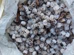 Kaldnes filtermateriaal, Tuin en Terras, Vijver-toebehoren, Ophalen of Verzenden, Zo goed als nieuw