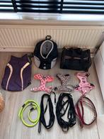 Verschillende hondenspullen partij of los, Dieren en Toebehoren, Ophalen of Verzenden, Gebruikt