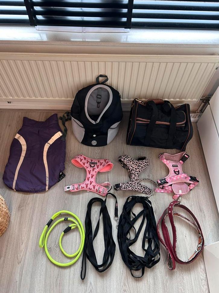 Verschillende hondenspullen partij of los, Dieren en Toebehoren, Hondenriemen, Gebruikt, Ophalen of Verzenden